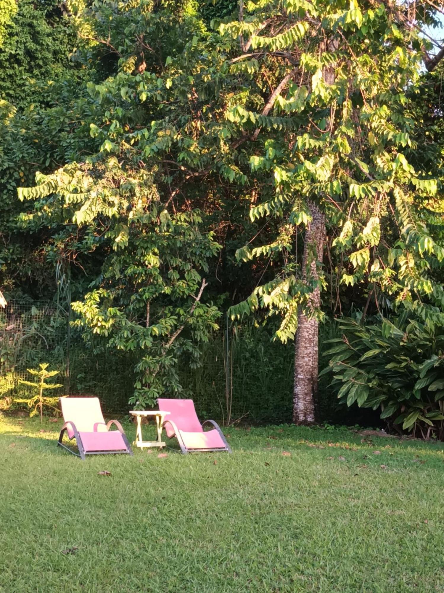 Passion Caraibes Apartment Saint Claude Bagian luar foto